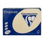 TROPHEE 160GSM BOARD A4 CHAMOIS PACK 250