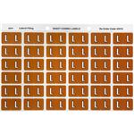 AVERY 43312 LATERAL FILE LABEL SIDE TAB COLOUR CODE L 25 X 38MM MUSTARD PACK 180