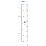 DEBDEN DAYPLANNER PR2008 PERSONAL EDITION REFILL TODAY RULERS SIZE PACK 2