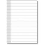 DEBDEN DAYPLANNER PR2011 PERSONAL EDITION REFILL NOTEPADS SIZE PACK 2