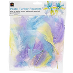 EDUCATIONAL COLOURS TURKEY FEATHERS 60G PASTEL ASSORTED