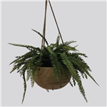PLANT IMAGE MIXED HANGING BASKET EXTRA LARGE 400MM GREEN BLACK