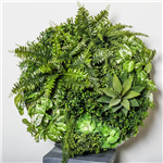 PLANT IMAGE VERTICAL WALL GARDEN ROUND SMALL