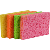 Sponges Scourers and Cloths